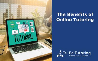 The Benefits of Online Tutoring