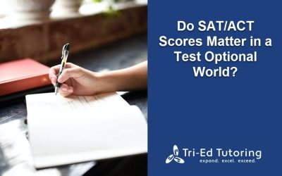 Do SAT/ACT Scores Matter in a Test Optional World?